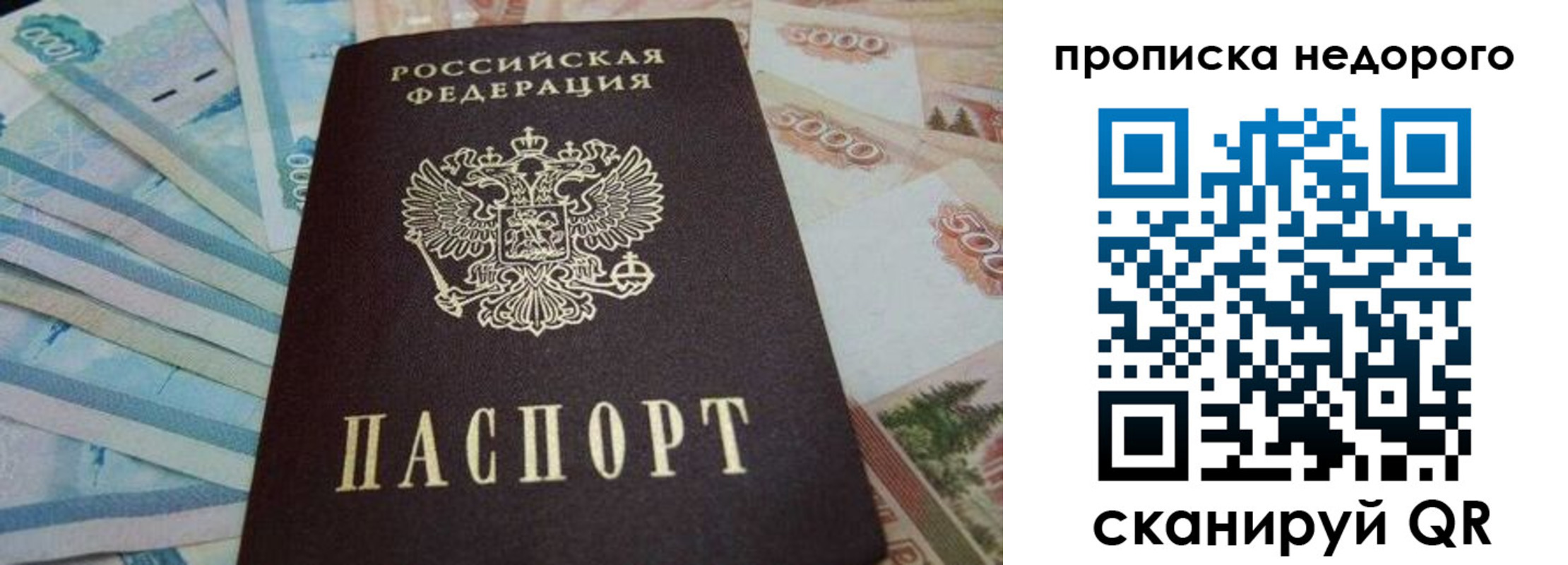 временная регистрация поиск в Николаевске